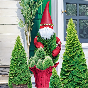 Holiday Gnome Arborvitae