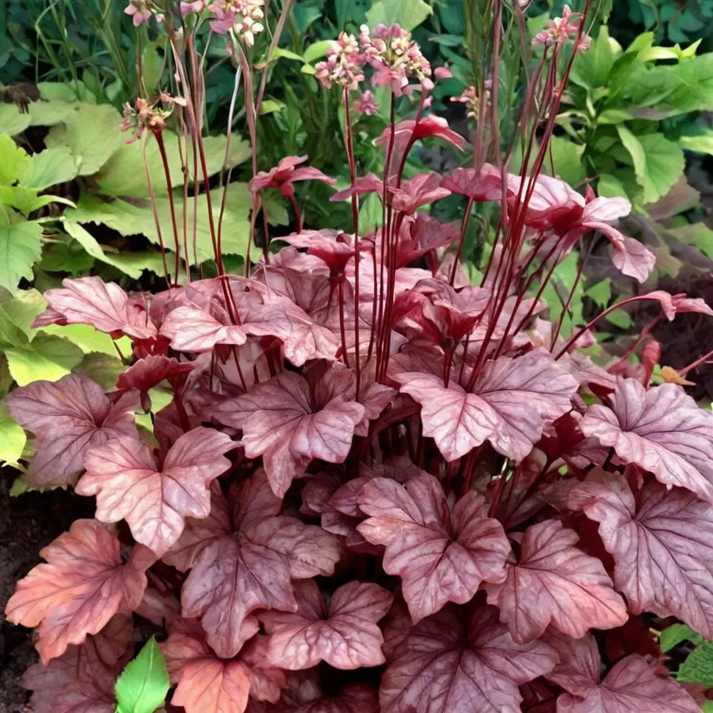Berry Smoothie Coral Bell