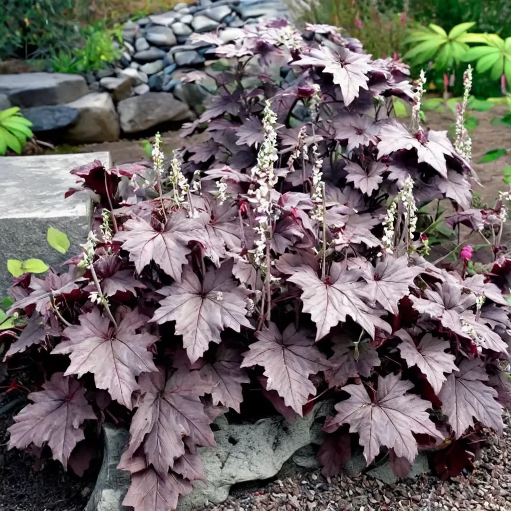 Plum Cascade Foamy Bells