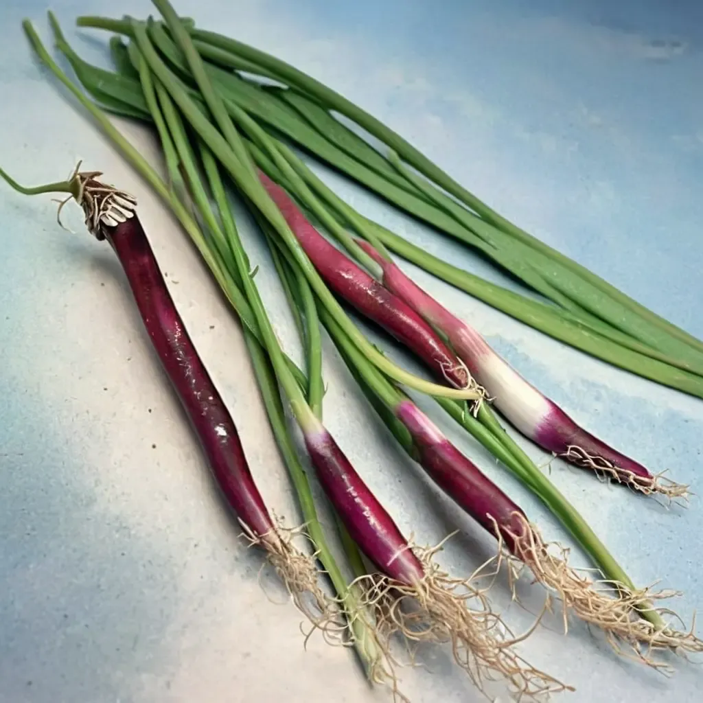 Red Onion
