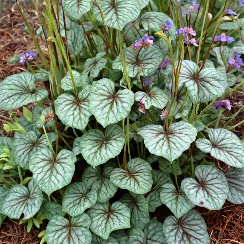 Green Spice Coral Bells