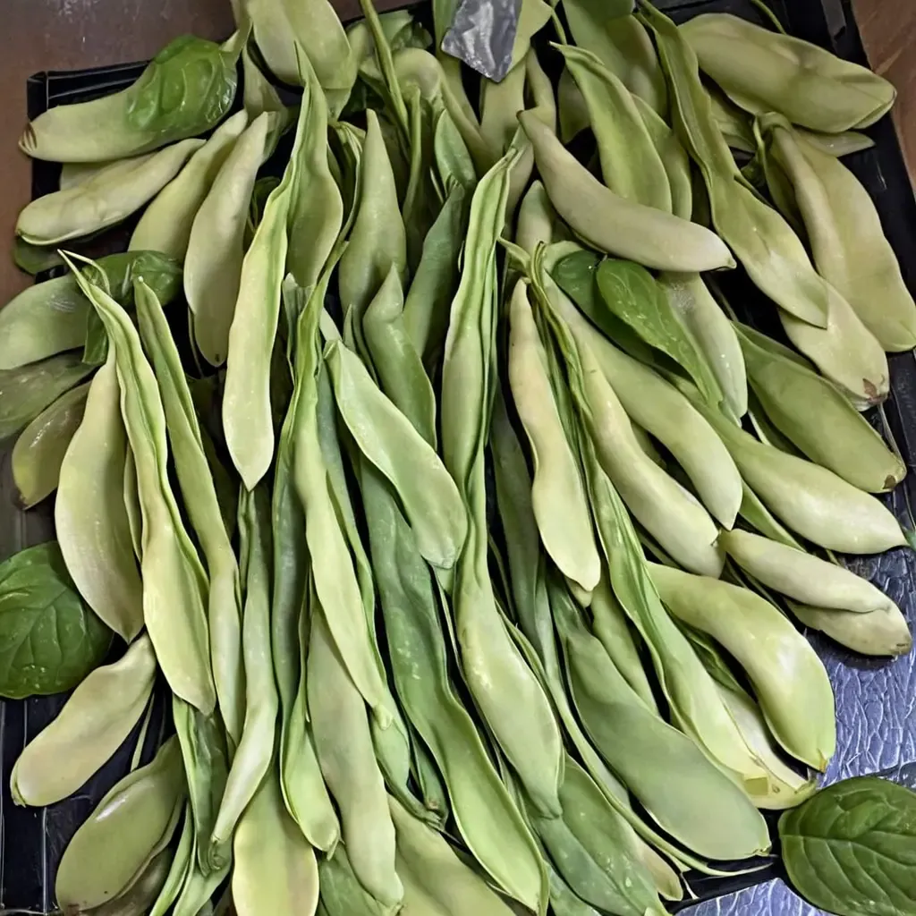 Italian Romano Bean