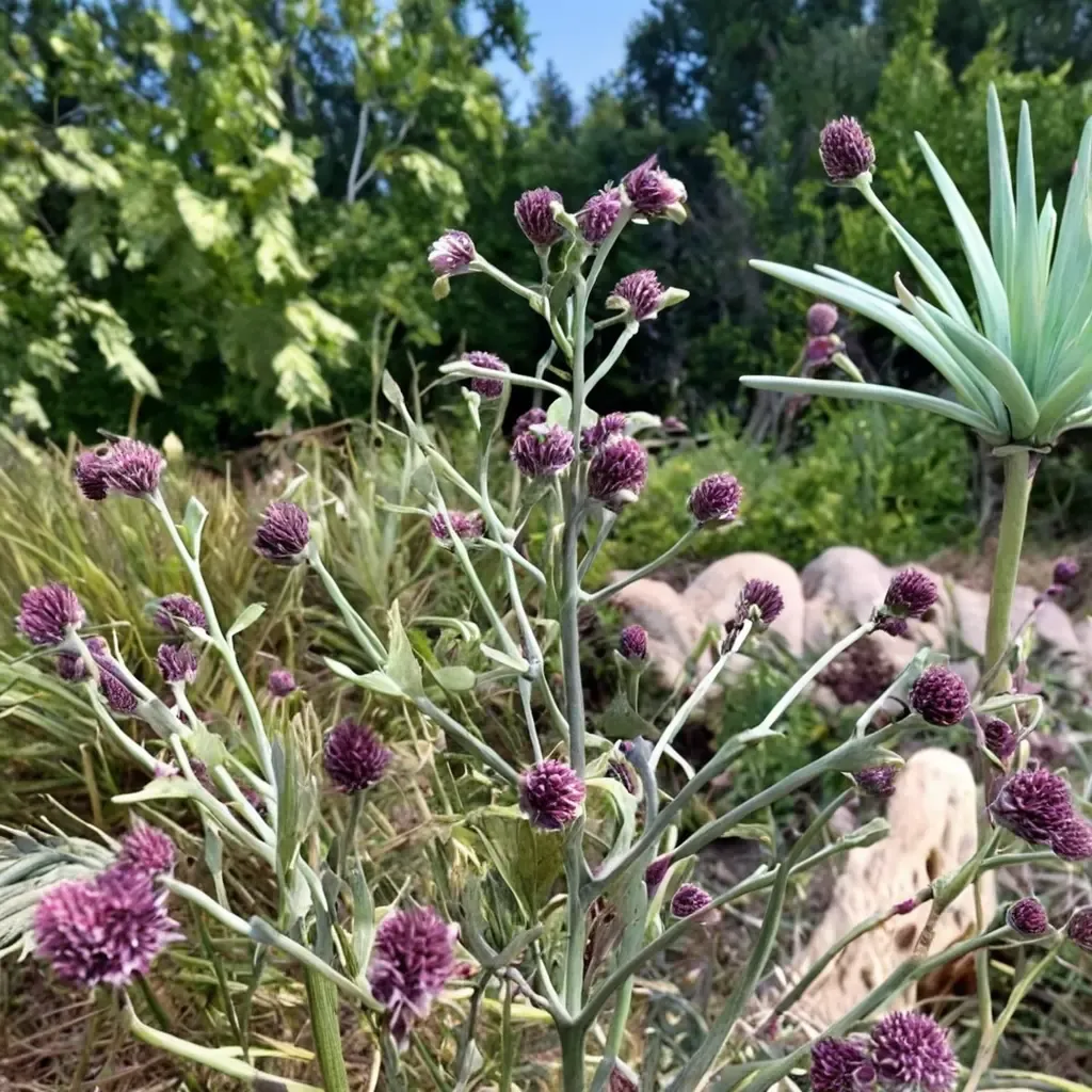 Pandan Leaf Sea Holly