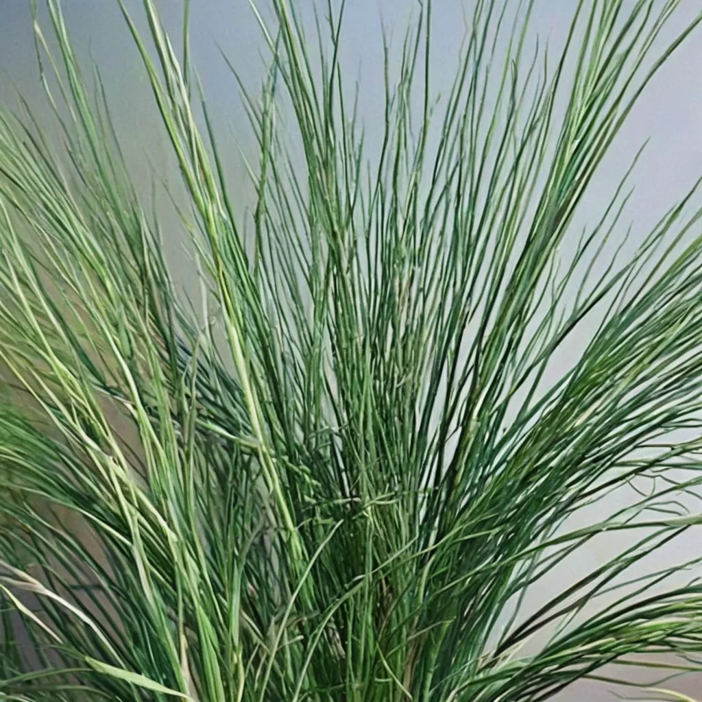 Blue Rush