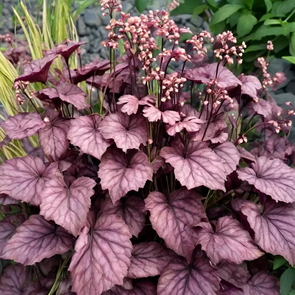 Primo Wild Rose Coral Bells