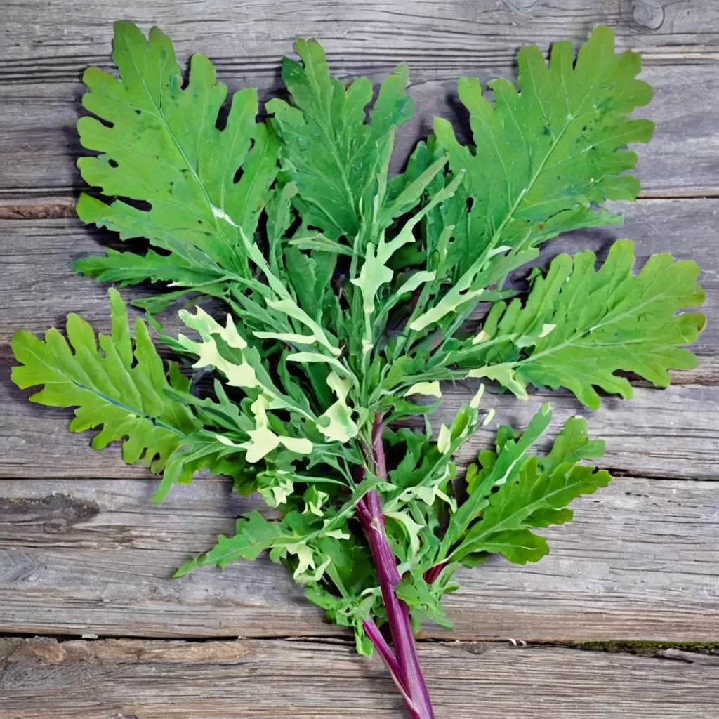 Red Russian Kale